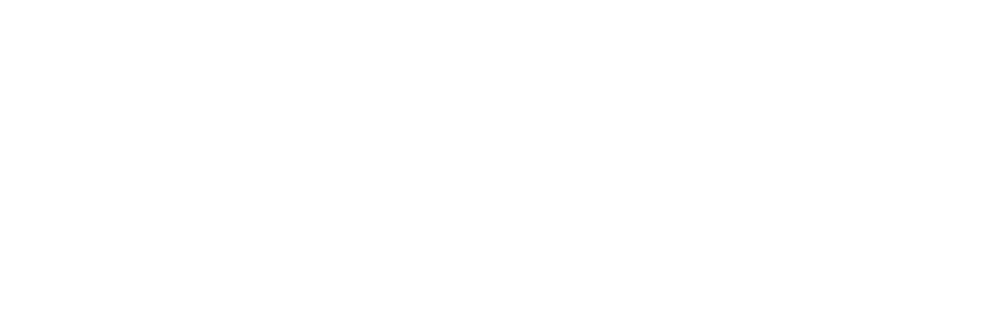 Fogo.io logo