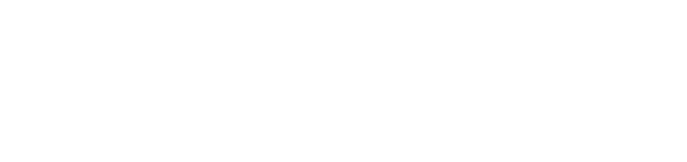 Valiant logo